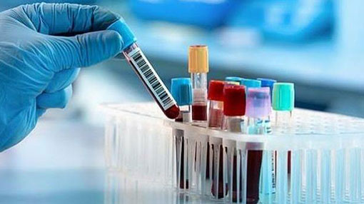 Six more coronavirus cases move total to 2,834