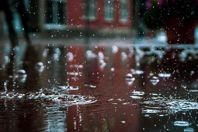 Prevailing showery condition expected to reduce