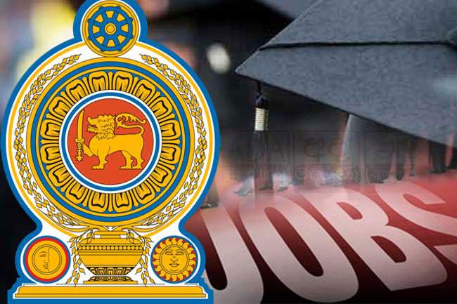 Employment for 50,000 graduates: list of names published online