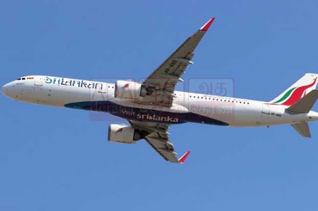 135 Sri Lankans return from Qatar and Thailand