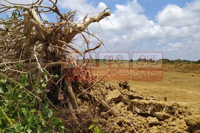Committee appointed to probe clearing of Anawilundawa Sanctuary