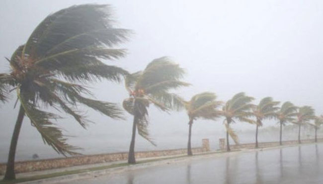 Red alert on heavy rain and strong winds; over 150 mm rain