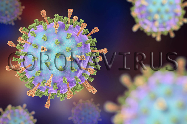 Nine infected with COVID-19 regain health