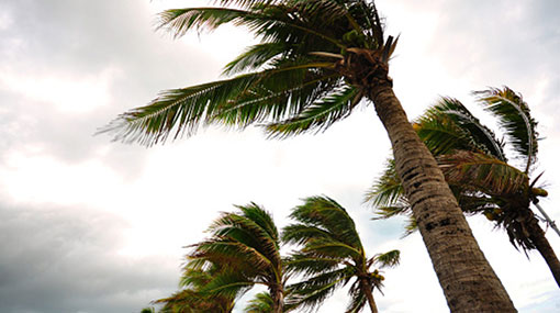 Windy and showery conditions to enhance from tomorrow