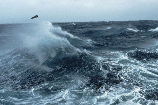 Met. Dept. warns of strong winds and rough seas