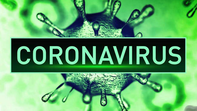 Eleven new cases of COVID-19 reported