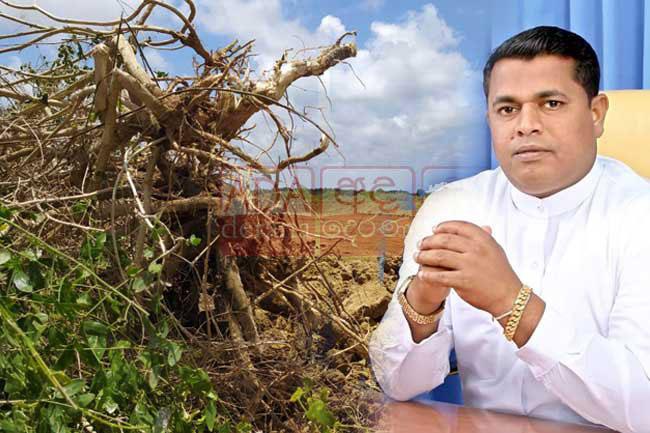 Fmr Arachchikattuwa PS Chairman remanded over Anawilundawa wetland clearing