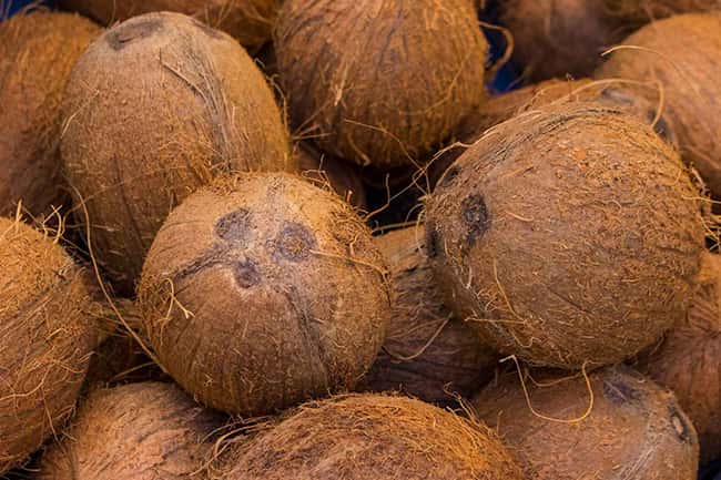 Maximum retail price for coconut gazetted