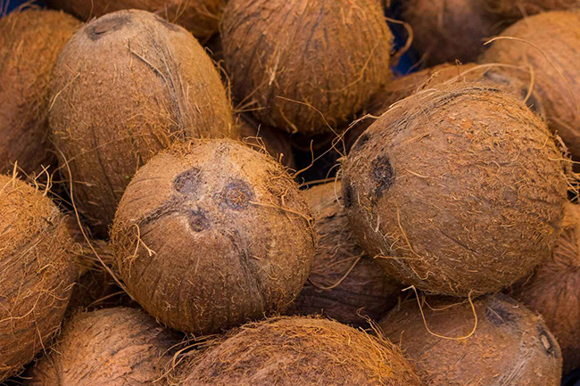 Maximum retail price for coconut gazetted