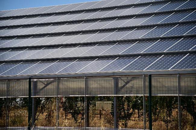 India offers Sri Lanka USD 100m Line of Credit for solar projects
