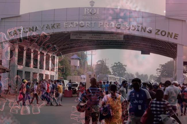 11 coronavirus cases found at Katunayake EPZ