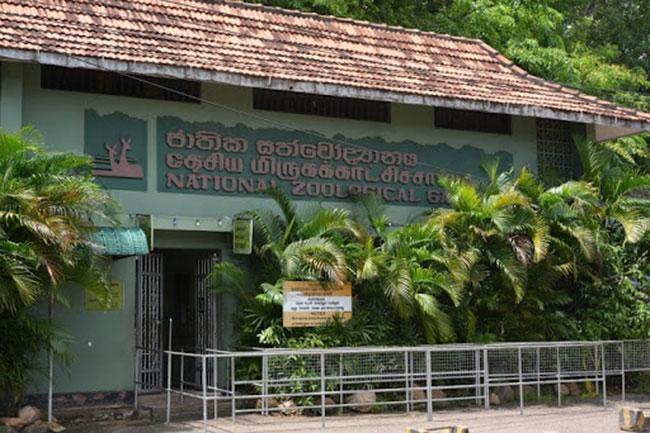 Zoos closed until further notice