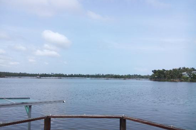 Nearly 90% of unauthorized constructions around Bolgoda Lake