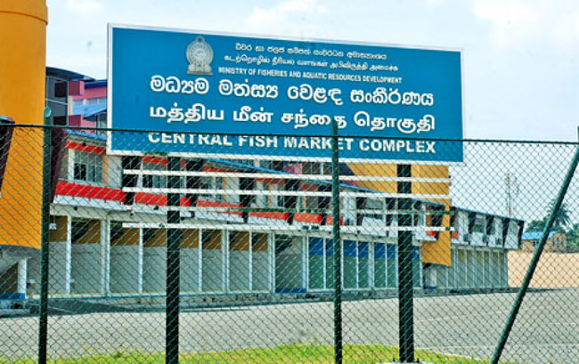 Peliyagoda Fish Market closed due to 46 COVID-19 cases