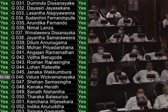 20A vote: Clause on dual citizenship passed