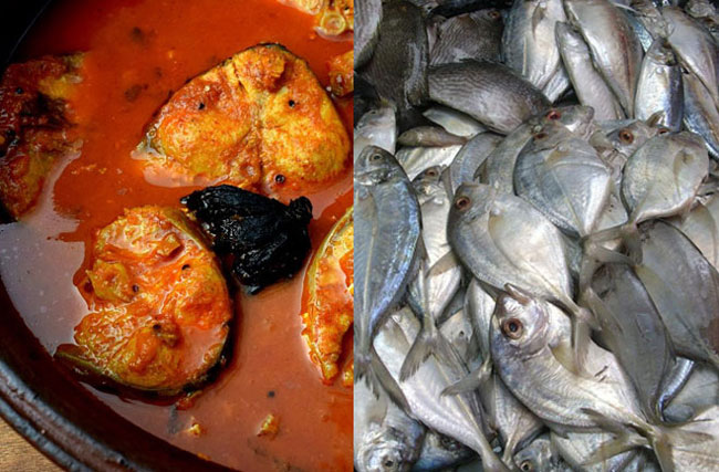COVID-19 not transmitted through cooked fish – Health Ministry