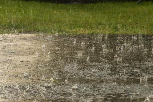 Showers or thundershowers expected in several areas