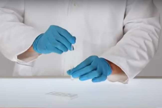 COVID-19 rapid antigen testing commences from today