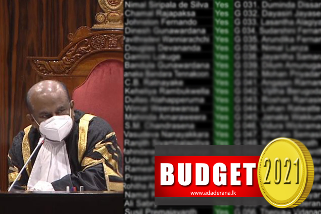 Second Reading of Budget 2021 passed in Parliament