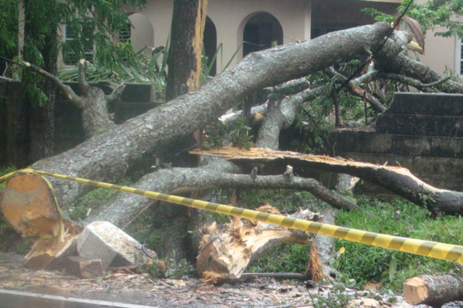 Cyclone ‘Burevi’: One reported missing, over 12,000 persons affected