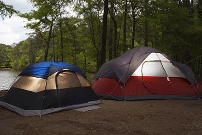 Bungalows, campsites operated by Wildlife Dept. reopened