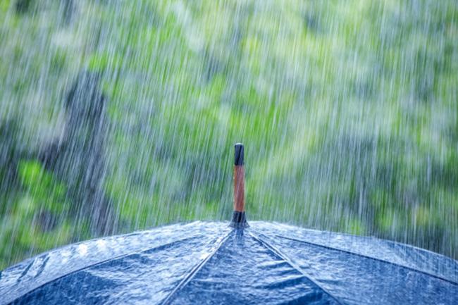 Showery condition in north & east to enhance over next few days