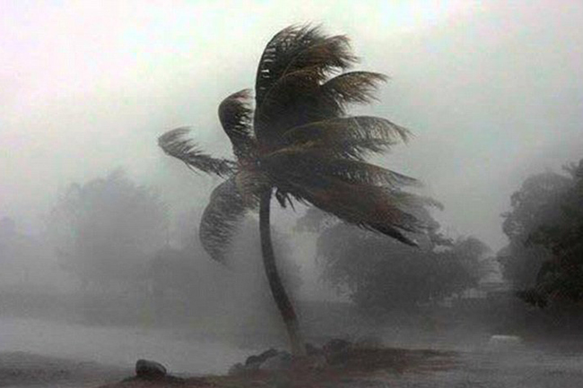 Warning issued for downpours, strong winds and rough seas