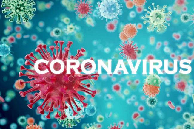 Sri Lanka reports 337 new COVID-19 cases