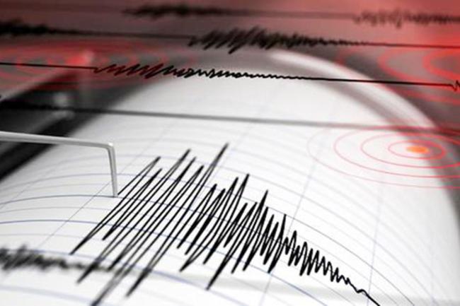 Minor tremor felt in Walapane