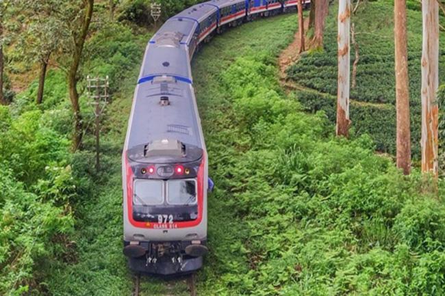 ‘Denuwara Menike’ intercity train temporarily halts operations