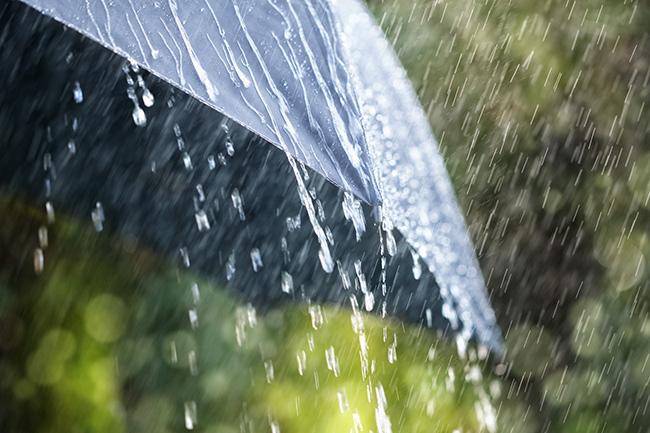 Showers or thundershowers in three provinces