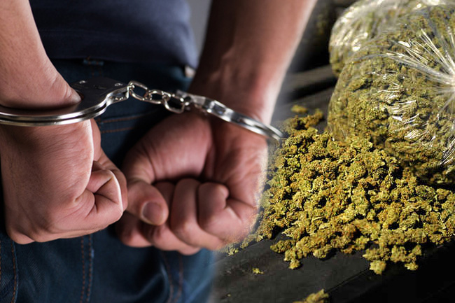 Man nabbed with more than 2kg of Kerala Cannabis
