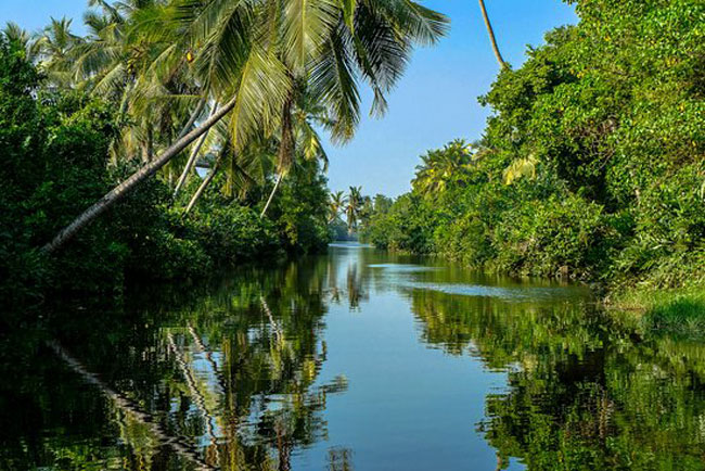 Muthurajawela Wetlands brought under Environment Ministry and UDA