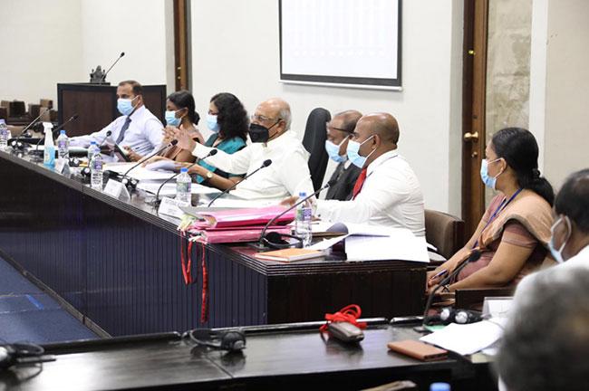 COPA recommends developing action plan within two months to resolve human-elephant conflict