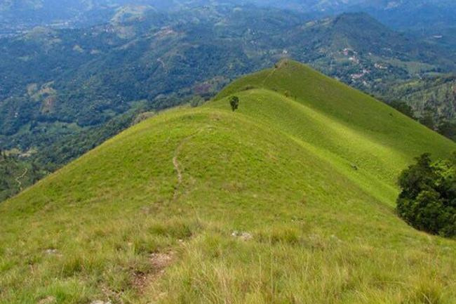 Hiking Narangala mountain range banned until further notice