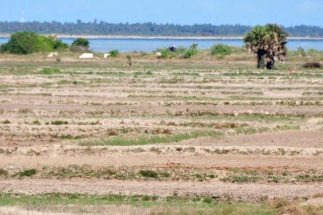 Prevailing dry weather likely to change from tomorrow