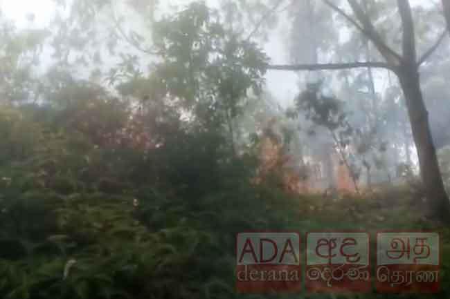 SLAF deploys helicopter to douse fire at Ravana Ella forest reserve