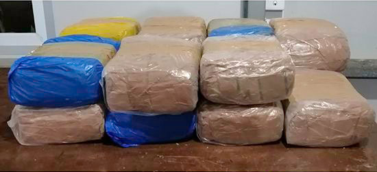 Kerala cannabis worth over Rs. 10 million seized in Mannar
