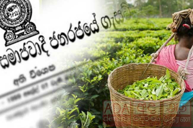 Petition against gazette increasing estate workers’ daily wage fixed for hearing