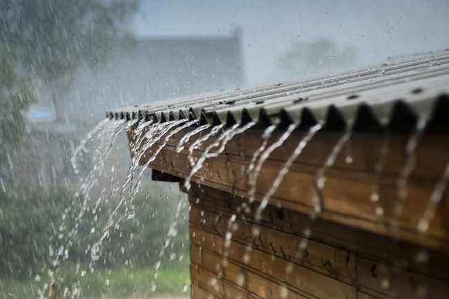 Heavy rainfall of about 100 mm expected today