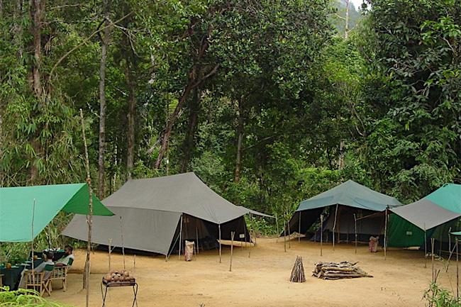 Parks, campsites & bungalows under Wildlife Dept. closed until further notice