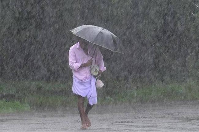 Gusty winds, heavy rains above 100 mm expected in some areas
