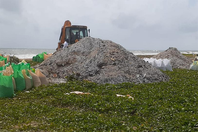 CEA issues guidelines on managing and cleaning debris from ‘X-Press Pearl’