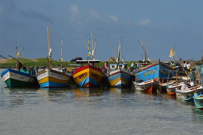 Fishing activities from Panadura to Negombo temporarily banned