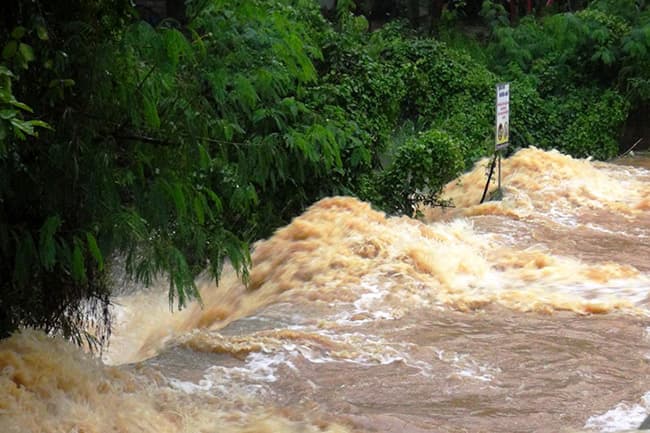 Flood situation in low-lying areas of three rivers to continue further