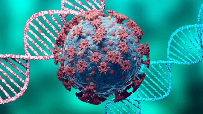 COVID-19: Highly transmissible Alpha variant reported from multiple areas