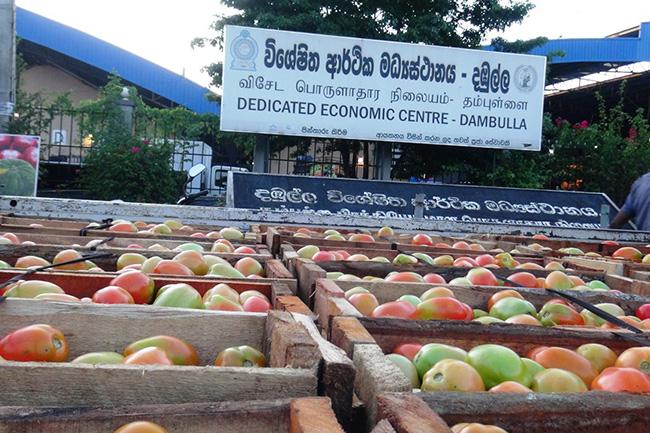 All economic centres open this weekend for wholesale trading