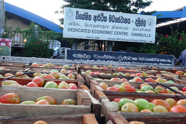 All economic centres open this weekend for wholesale trading
