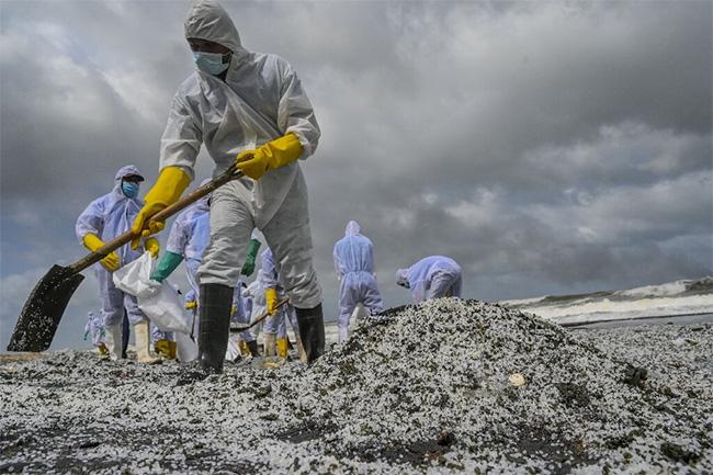 UK to assist Sri Lanka with X-press Pearl pollution response