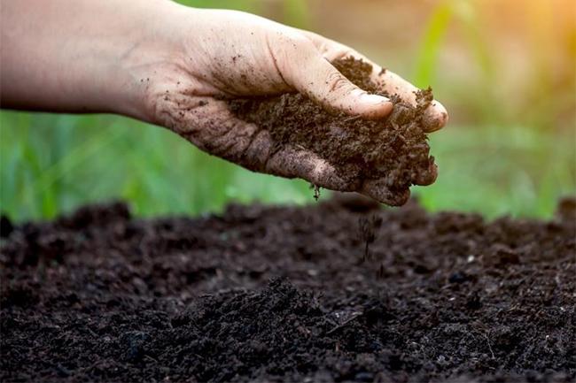 Govt. temporarily halts importation of compost